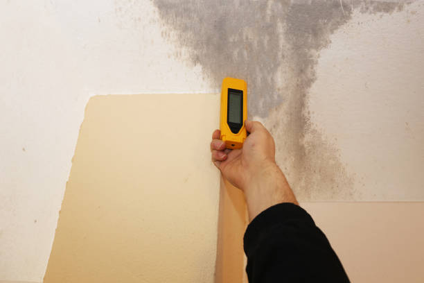 Asbestos and Lead Testing During Mold Inspection in Vale, OR