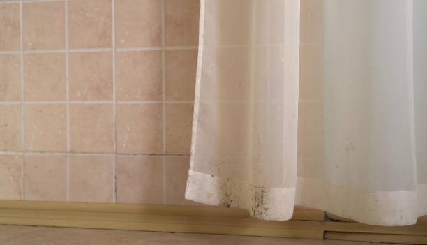 Dehumidification Services in Vale, OR