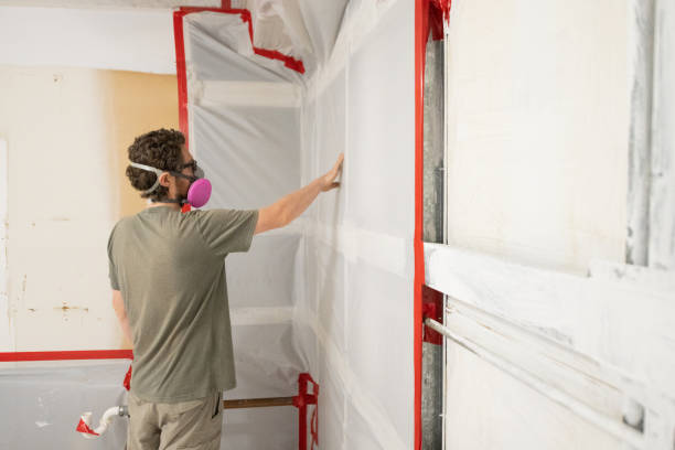 Best Mold Removal for HVAC Installations  in Vale, OR