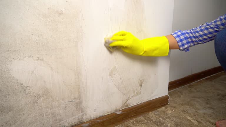 Best Mold Removal for HVAC Installations  in Vale, OR