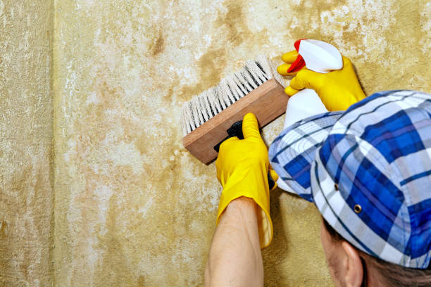 Best HVAC Mold Inspection and Cleaning  in Vale, OR